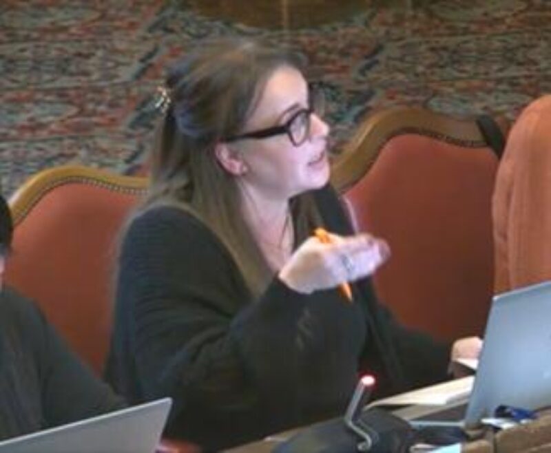 Cllr Dawn Dale speaking at Strategy & Resources Committee